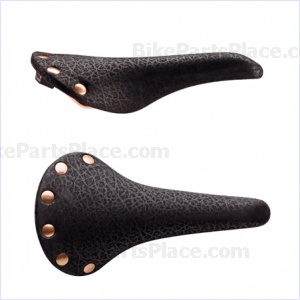 Saddle - Regal Black