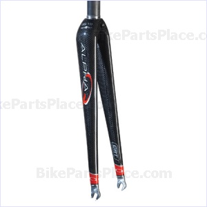 Fork GS 10 41mm Rake