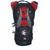 BAG POLARPAK HYDRATION 2.0 RD/GY 70ozGEL