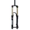 Suspension Fork - Nixon Platinum Int Black