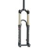 Suspension Fork - Minute Platinum IT