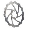 Disc Brake Rotor - Wave