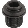 Crankarm Bolt and Washer 17L-9802
